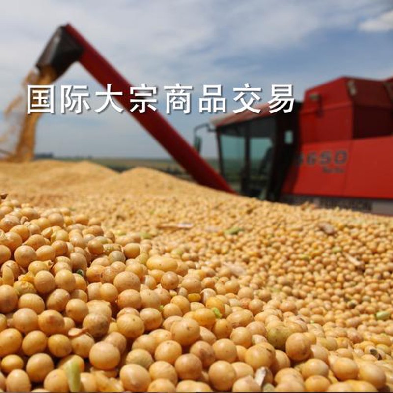国际贸易代理：轻松跨越国界做生意的秘密武器